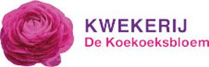 Banner Koekkoeksbloem